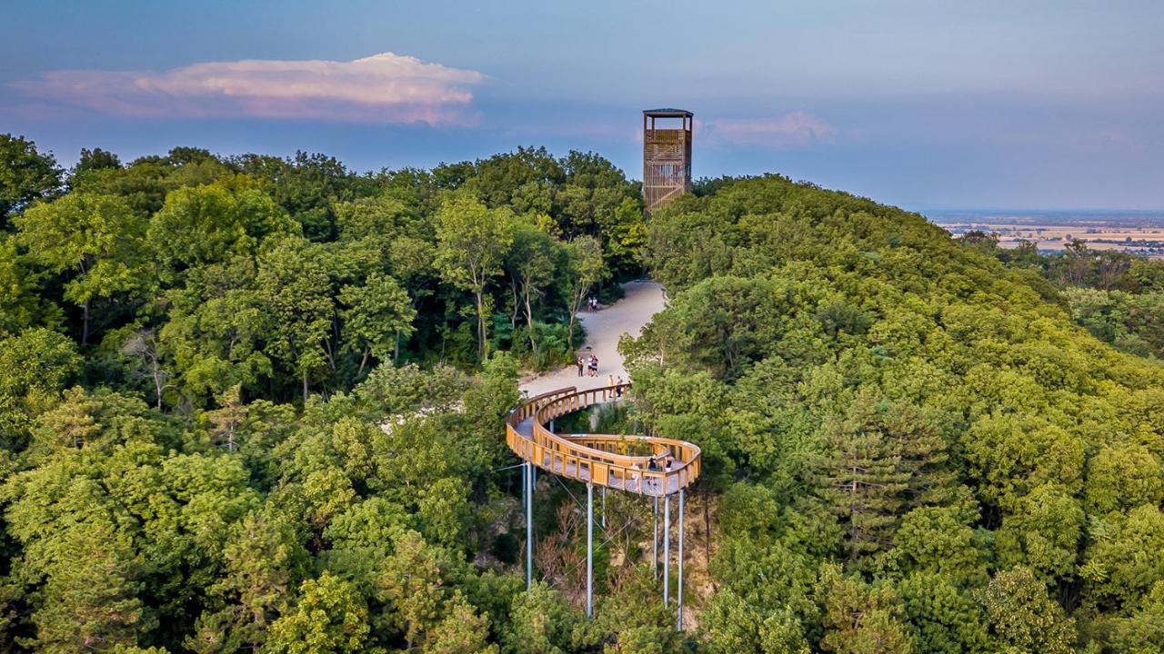 Panorama Birtok - Wellness Panzio, Konferencia Es Rendezvenykoezpont Bed and Breakfast Győrújbarát Eksteriør billede